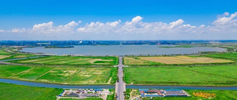 临港WLA科学社区│三思智慧综合杆照亮未来“最强大脑”聚集地