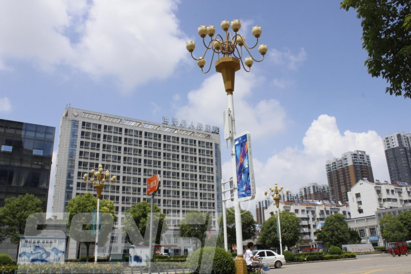 智慧路灯系统,科技赋能城市,生态与生活,品质双提升