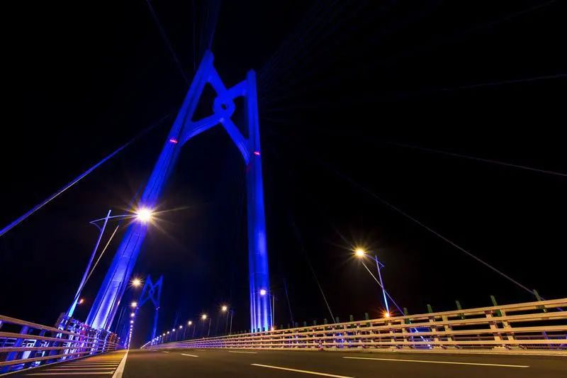 纽约时代广场,进博会,这家,LED全球领军,民营企业,赢的奥秘